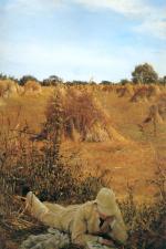 Sir Lawrence Alma Tadema  - paintings - Ninety Four in the Shade