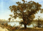 Albert Bierstadt  - paintings - A View from Sacramento