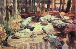 John Singer Sargent  - Bilder Gemälde - Muddy Aligators