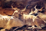 John Singer Sargent  - Peintures - Boeufs au repos