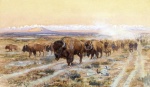 Bild:The Bison Trail