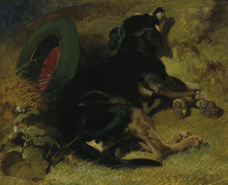 A Dog Sleeping Near a Hat on a Grassy Bank