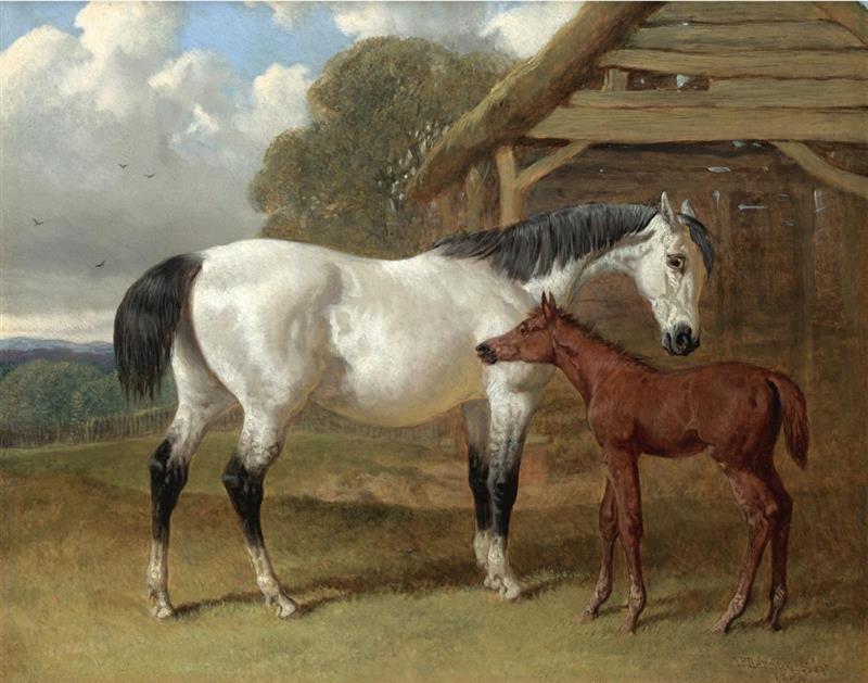 A Mare and Foal before a Barn