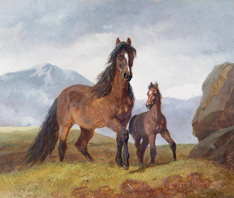 A Welsh Mountain Mare and Foal