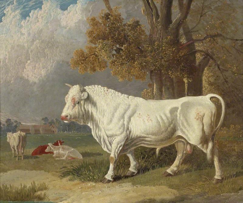 A White Bull, Fulbourn, Cambridgeshire
