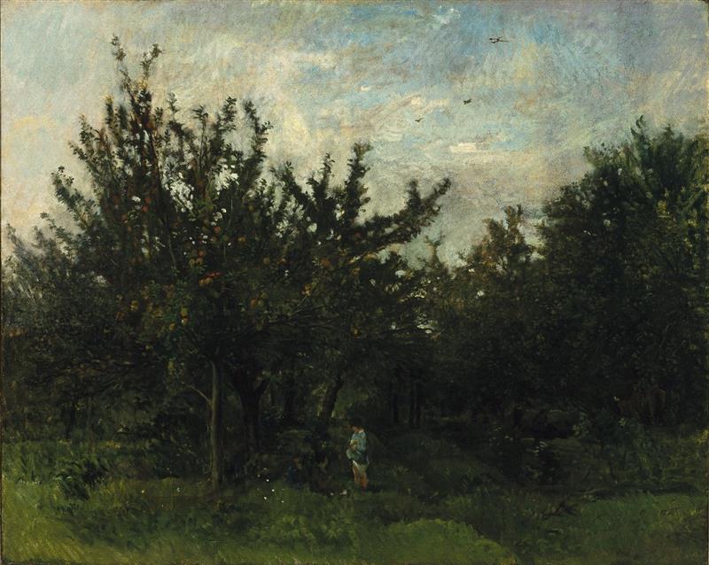 An Apple Orchard