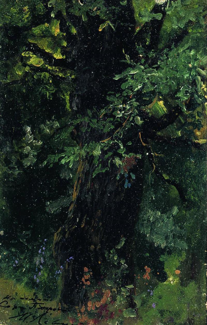 An Oak Trunk in Summer