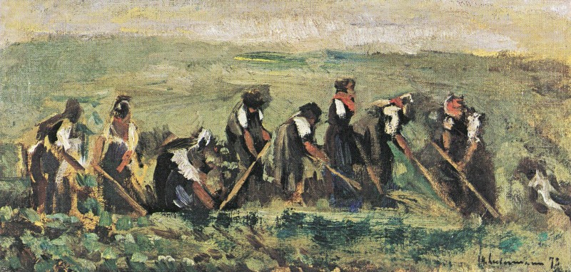 Arbeiter im Rübenfeld