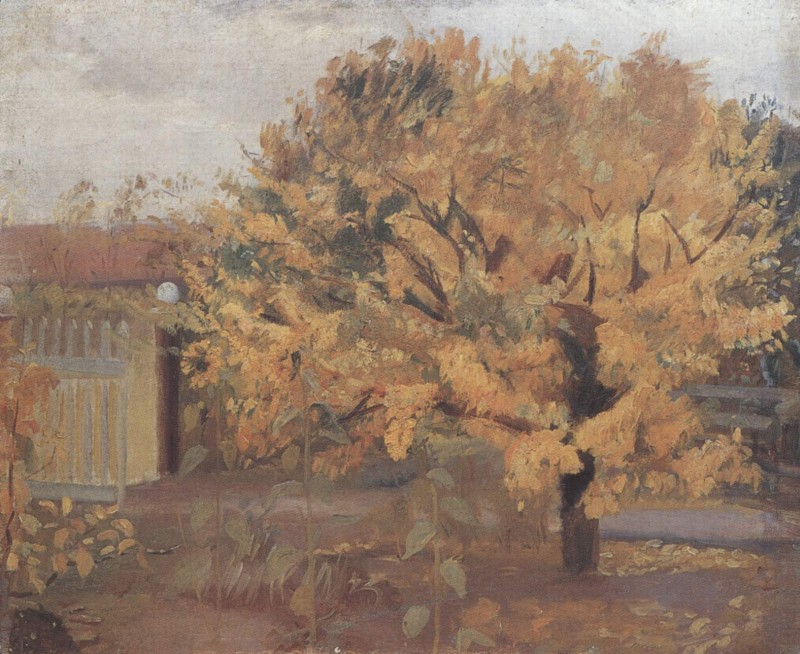 Birnbaum in Anchers Vorgarten