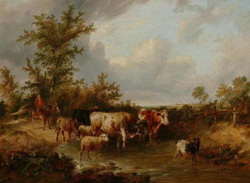 Cattle Crossing a Stream