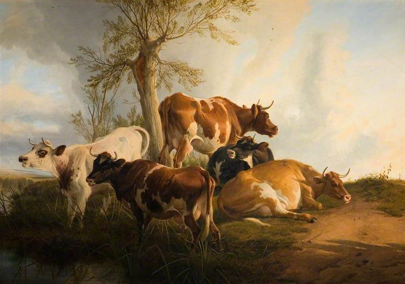 Cattle Scene