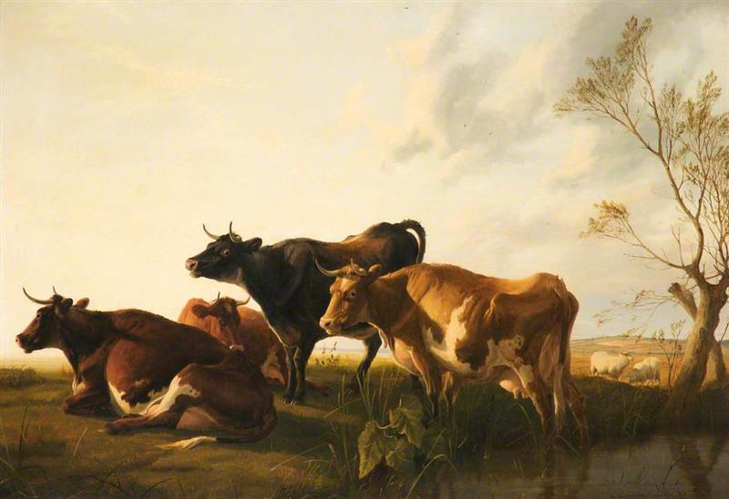 Cattle in a Meadow, Evening
