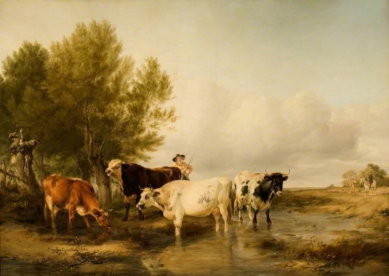 Cattle in a Stream