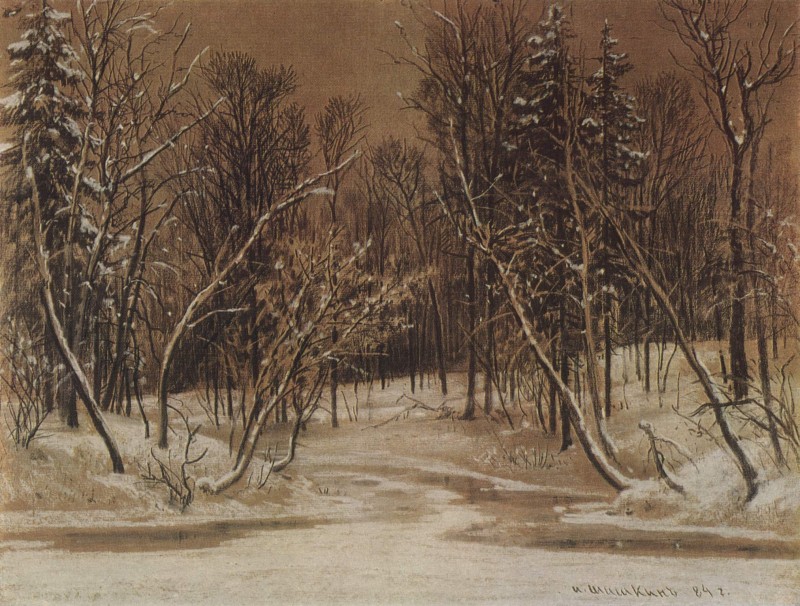 Der Wald im Winter