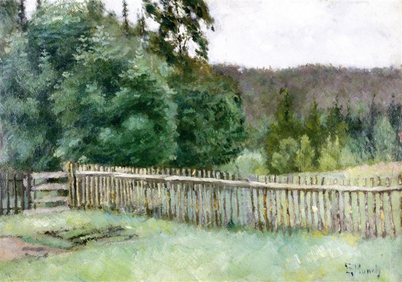 Fence in the Forest