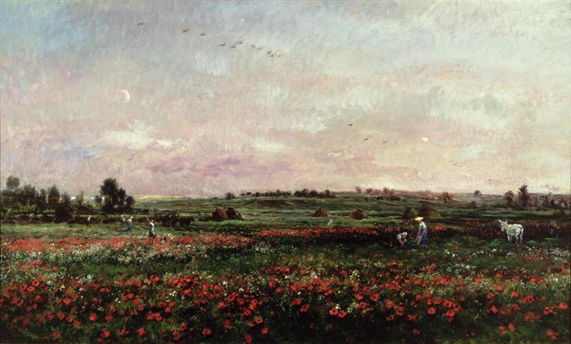 Fields in the Month of June