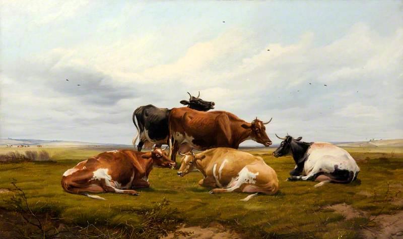 Five Cows in a Landscape