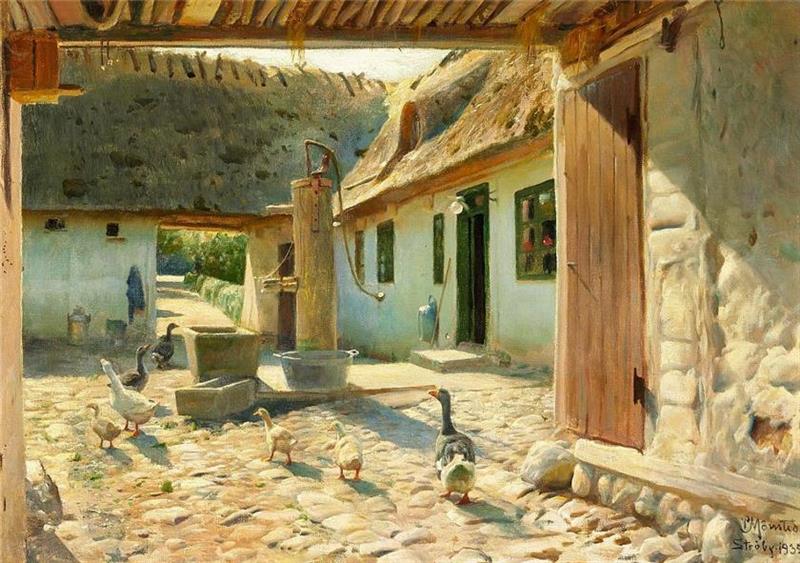 Geese on the cobblestones in the courtyard on a summer