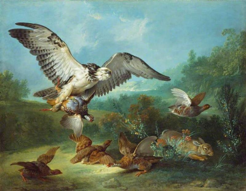 Hawk Attacking Partridges and a Rabbi