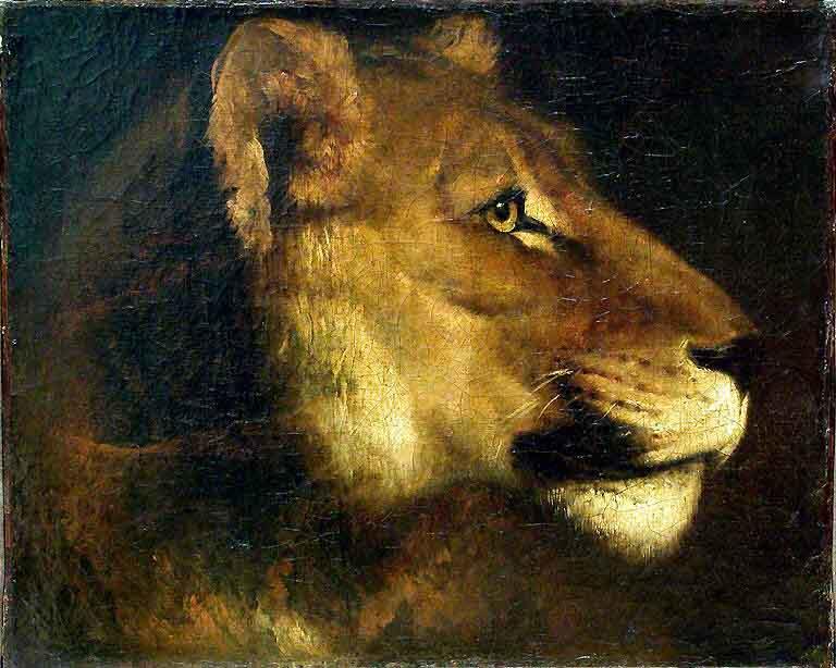 Head of a Lioness