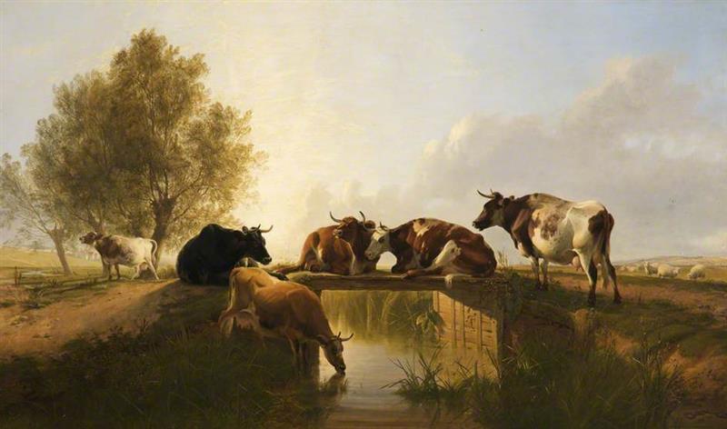 Rustic Bridge and Cattle Group