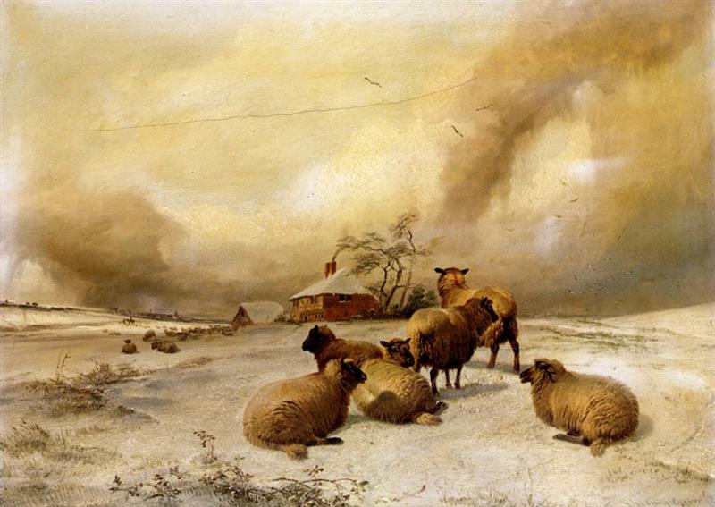 Sheep In A Winter Landscape