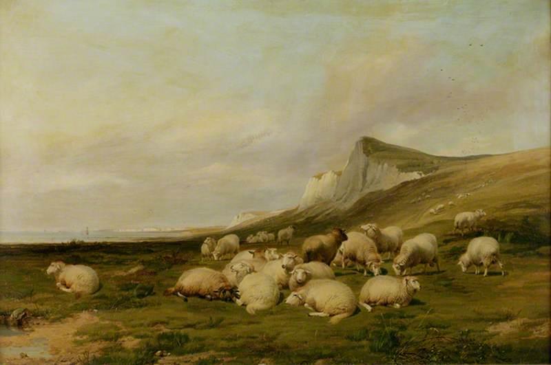 Sheep on the Kentish Coast