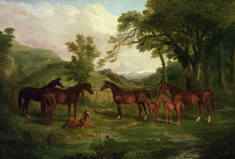 Streatlam Stud, Mares and Foals