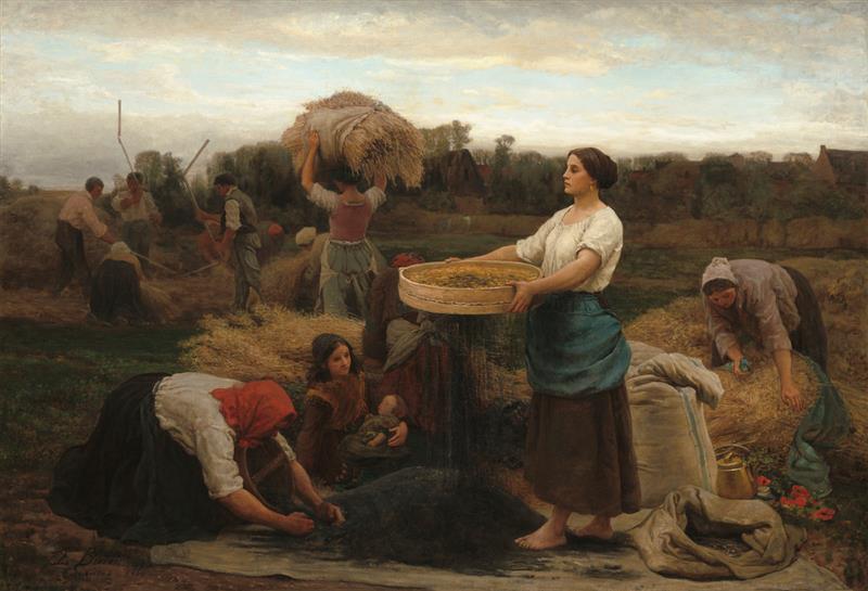 The Colza (Harvesting Rapeseed)