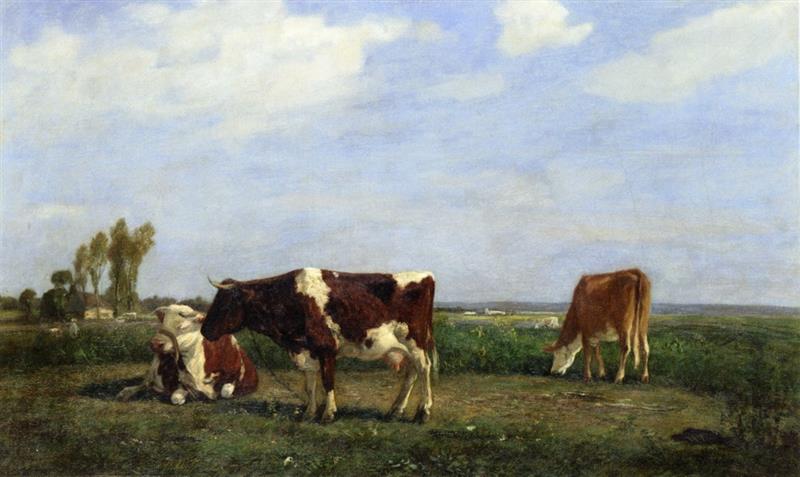 Three Cows in a Meadow