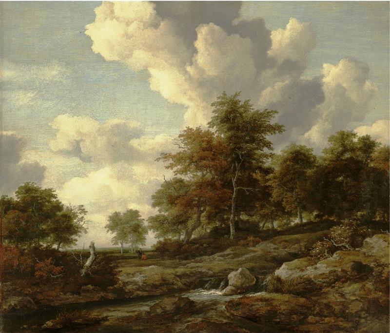 Wooded landscape with a rocky stream