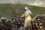Bild:Peach Blossoms