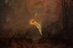 Bild:Midsummer Night