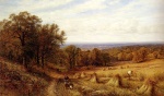 Bild:Harvest Time