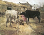 Bild:Boeufs