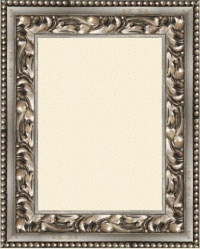 Bild:Xeno argent 8,5 cm