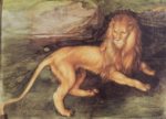 Bild:Lion