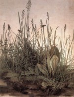 Bild:Prairie
