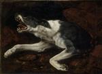Bild:Verletzter Hund
