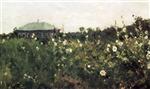 Bild:Hollyhocks in the Saratov Region