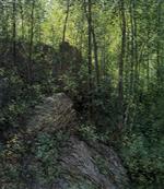 Bild:Green Canopy