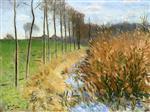 Bild:Swamp in Miss sur Yonne