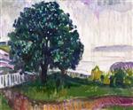 Bild:Trees by the Sea (The Reinhardt Friesz)