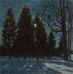 Bild:Winter Night 2
