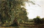 Bild:Windsow Woods